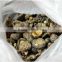 Dried Shitake Mushroom for Importer