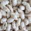 sugar snow coated Peanut Kernel