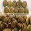 shine skin pumpkin seeds kernels from Inner Mongolia