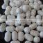 SYST-16 Hydraulic Press Camphor Ball Press Machine