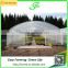 Steel frame tunnel greenhouse with door