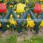 Plastic Garden Fence with flower style, 2015 hot selling