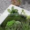 Indoor and Outdoor artificial succulent plants wall new item indoor plant wall