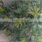 Artificial podocarpus tree branch