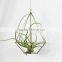 Geometric airplant flower hanging iron electroplating diamond shaped hollow plant receptacle