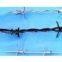 barbed wire(xiyue)