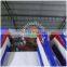 nice cartoon inflatable slide, inflatable giant slide, giant slide for sale