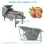 Almonds Shelling Machine/Filter Shelling Machine/Sheller