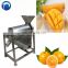 automatic mango pulping destone removal machine/mango pulp stone removal machine/fruit juicer machine