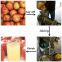 Industrial pear juice Screw extractor/spiral fruit juicer/spiral juicing machine for fruit &vegetable  008613824555378