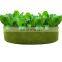Grow Bags for Plants 10 gallon 15 gallon