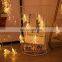 Factory price battery powered 2M 10LED photo clip string lights