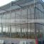 Tempered low Iron greenhouse glass