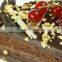 Edible Gold Leaves, 24 Carat Gold Leaf