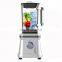 High Efficiency Multi Purpose Commercial Industrial 1000W Fruit Ice Blender Machine