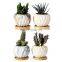 Popular Design Unique Small Ceramic Pots Indoor Circle European Mini Flowers Pot Set