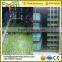 1000 kg/day bean sprout machine- / wheat sprout machine from china