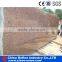 China Red granite slab