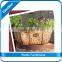 Garden Yard Basket Planter / Planter with dividers