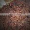 sargassum seaweed for organic fertilizer
