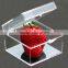 Transparent plastic box storage box square specimen collection box storage box ZYD-LJ006