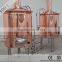 Mini brewery 1 bbl electric brewing system