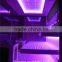 New Design Steam Sauna Room for Home dry Sauna