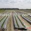 Agricultural Mulching Film