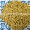 N-P-K Compound Fertilizers 20-20-20