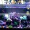 CE/RoHS Approved LED Aquarium Lights For Saltwater Reef Tanks 72W-288W LED For Auqarium