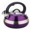 Kettle stainless steel tea kettle