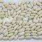 we are supply Medium white kidney beans with good quality for sale