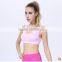 Women Sport Bra,active Bra for Yoga, Female Top Quality Bra NY081