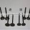 Intake Valve for great wall 4D20 , winlge/deer /hover,1007011-ED01