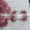 Double Sided Round Flower Stamen Craft Artificial Floral Cards Cakes Decoration For Party