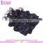 2016 Cheap Factory Price Hot Sale!!! Double Weft Full Head Full Cuticle Clip in Hair Extension