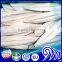 Frozen Spanish Mackerel Fillets / Frozen Sea Food