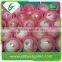 Fresh apple best price Chinese fruit gala apple