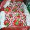 2016 Chinese Fresh Bell Pepper(Factory)