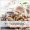 Bulk processing plant peanuts in shell