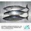 China Manufacturer Bonito fish