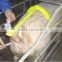 Jiangs Automatic insemination frame for pigs/sow/swine
