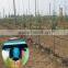 Fengba Brand ISO Certificated Drip Pipe with Cylindrial Dripper Inlaid