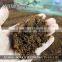 Nomo high quality coconut fiber coco coir peat for best price
