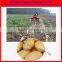 farm working machine for potato harvester (0086-15938761901)