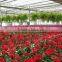 Commercial Greenhouse Plans