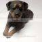 Rottweiler Dog Romania Resin Christmas Tree Decoration