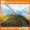 Heracles trade saaurance good quality greenhouse material-200 micron greenhouse film greenhouse for sale