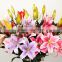 2015 top sell real high quality artificial Tiger Lily flower for home decoration