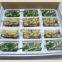 hot sell 1:64 diecast tank model plastic tank